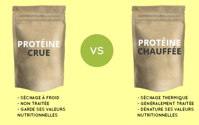 proteine-crue-vs-chauffe