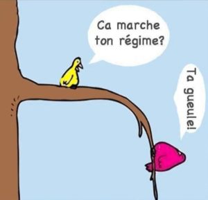 image-drole-regime